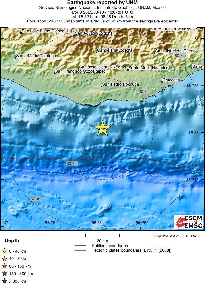 Local View