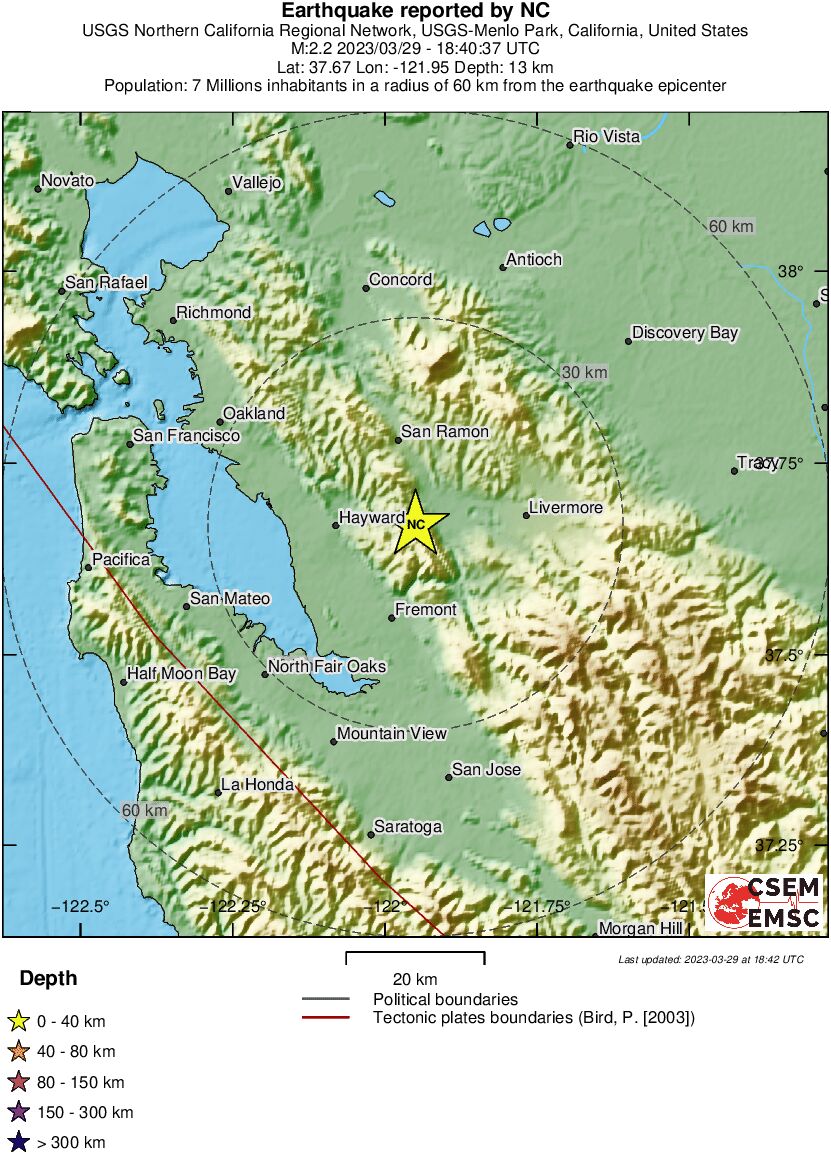 Local View
